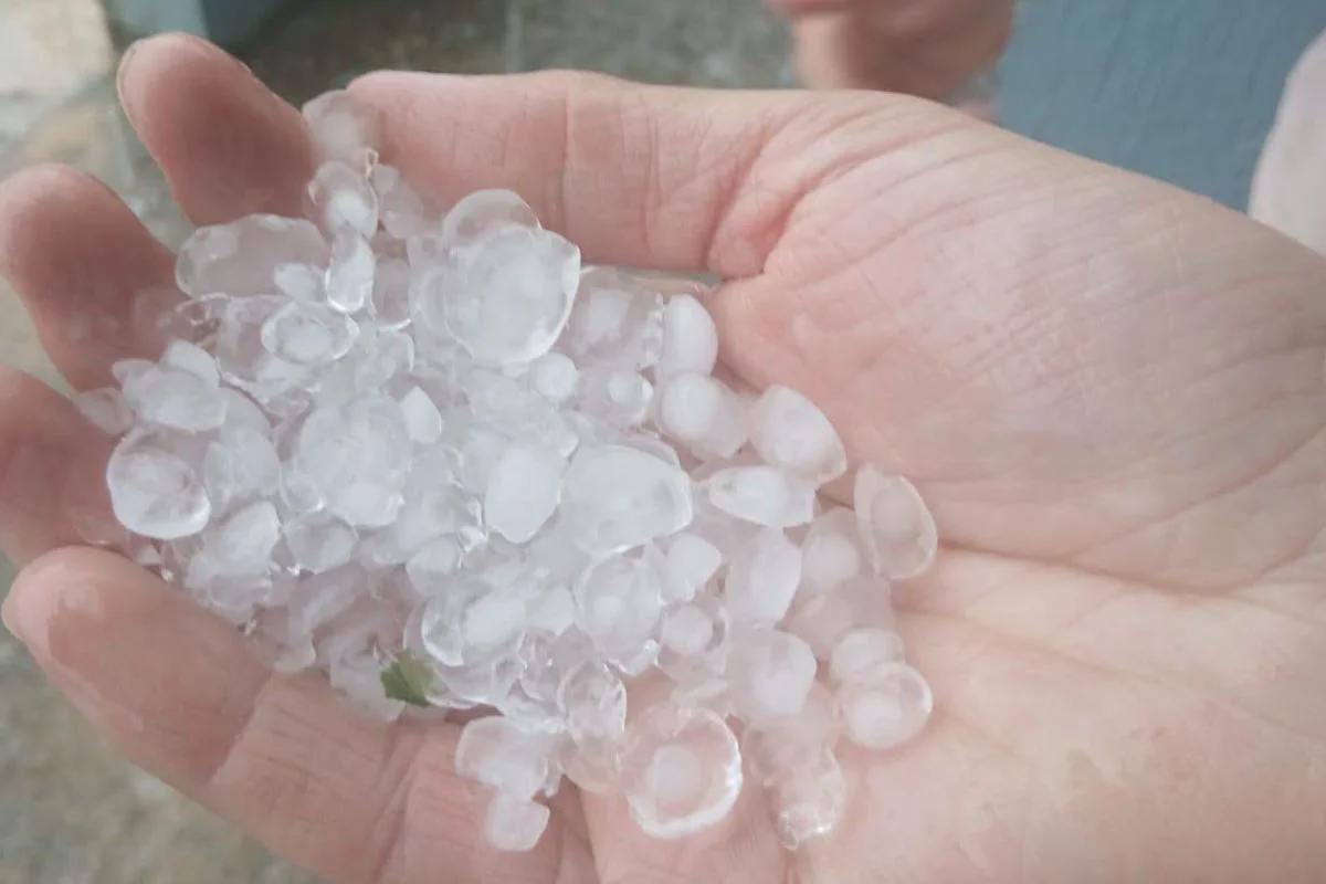 Chuva forte atingiu diferentes regiões do estado de São Paulo e o temporal provocou queda de árvores, danos em imóveis e falta de energia - Metrópoles