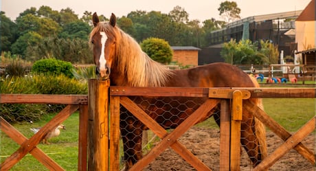 A Fazenda 18 começa com visitas surpresa, camarim, mais conteúdo ao vivo e mudanças na sede