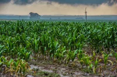 'Está aqui': África do Sul enfrenta um El Niño potencialmente recorde