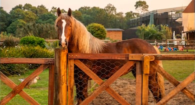 A Fazenda 18 começa com visitas surpresa, camarim, mais conteúdo ao vivo e mudanças na sede