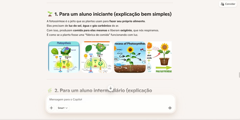 Explicação de tema escolar feita pelo Copilot — Foto: Captura de tela / Eduarda Melo