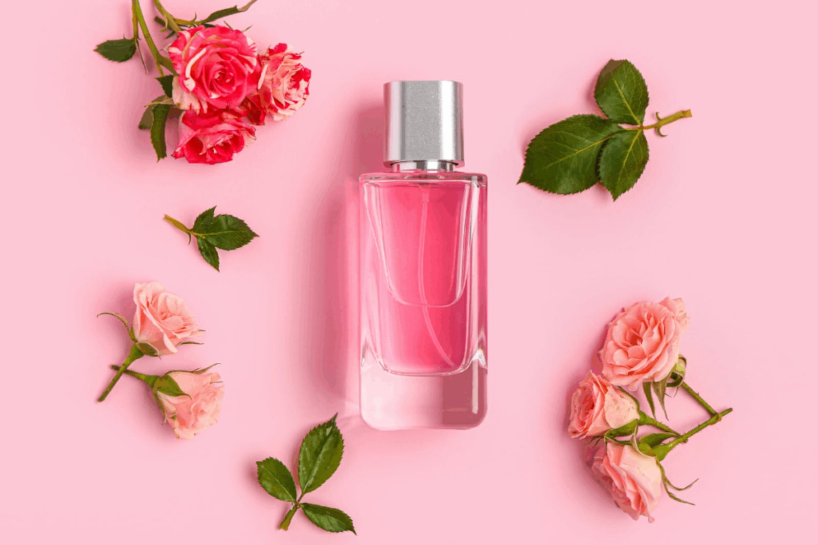 As notas de coração ajudam a transformar a primeira impressão do perfume Imagem: Pixel-Shot | Shutterstock