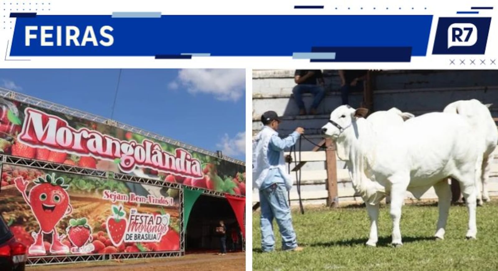 Uma programação para passear, conhecer produtos e aproveitar o clima das feiras Divulgação/Festa do Morango; Divulgação/Expoabra