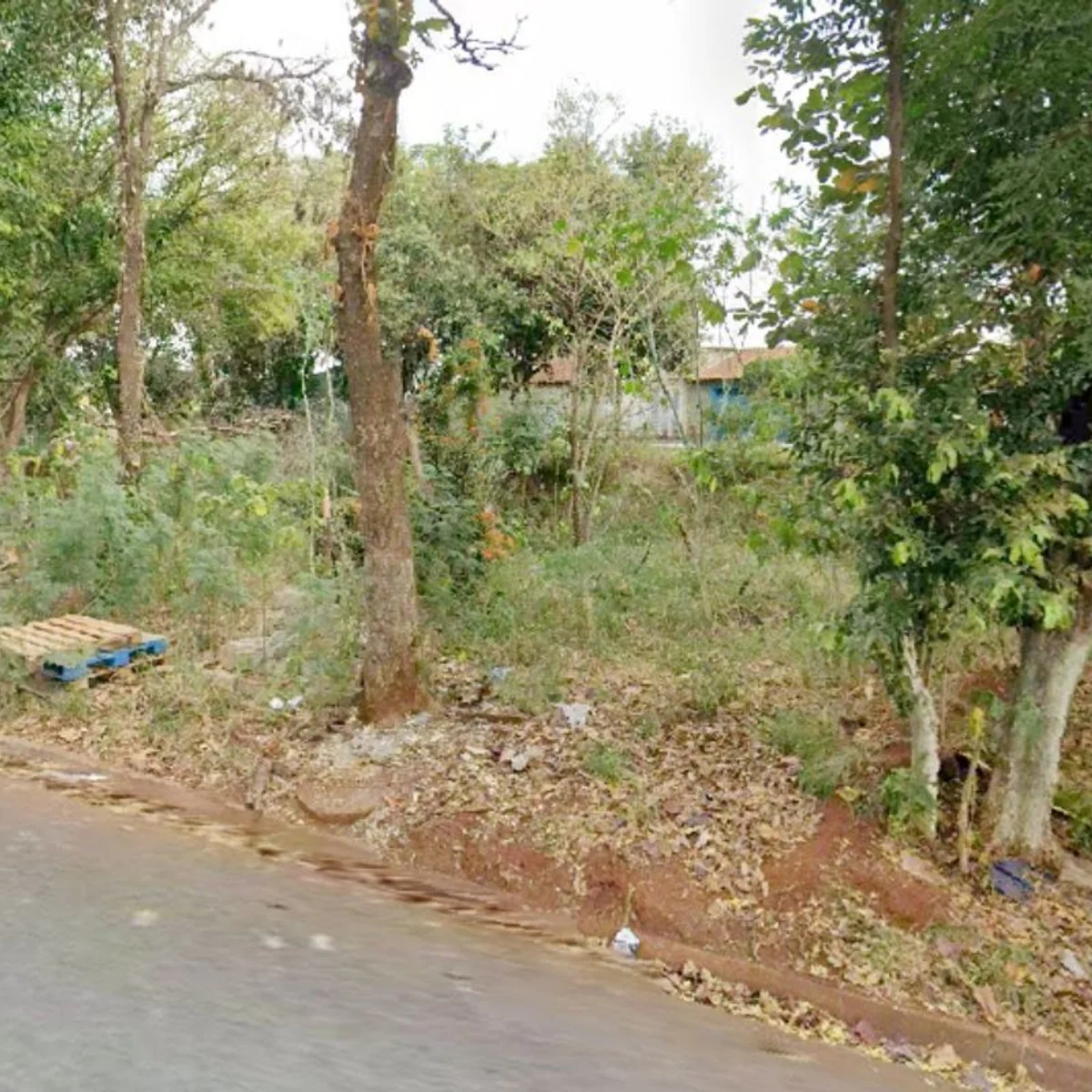 Mulher encontrada gravemente ferida em mata morre no interior de SP
