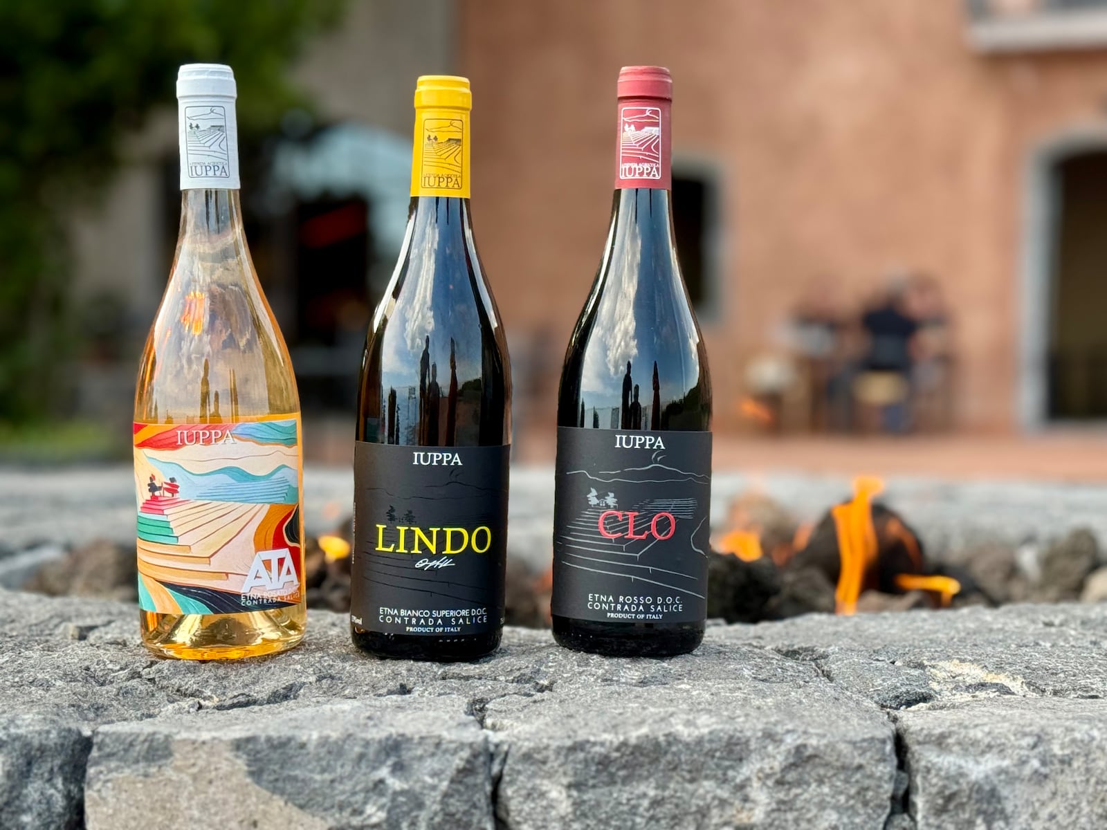 Vinhos Cantina Iuppa Cynthia Malacarne
