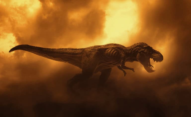 Professor encontra quatro pegadas gigantes e pode ter descoberto uma trilha inédita de T-rex adulto
