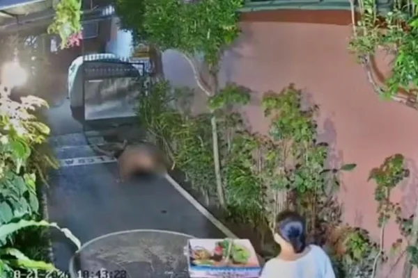 Turista é banido por 10 anos da Indonésia após fazer sexo em local público