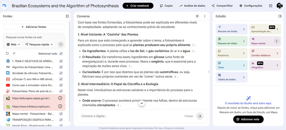 Explicação de tema escolar feita pelo Notebook — Foto: Captura de tela / Eduarda Melo