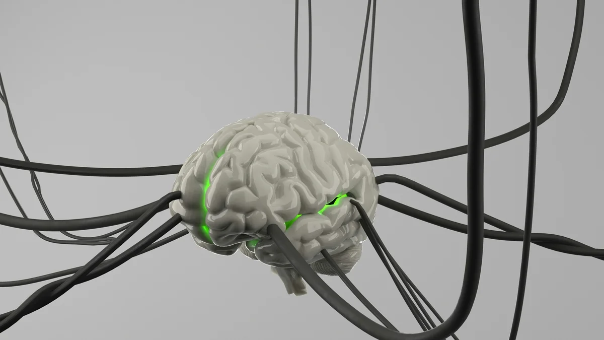 Cientistas identificam alvo no cérebro para conter inflamação no Alzheimer