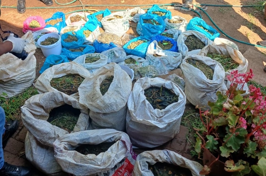 Suspeitos encontrados no laboratório de fabricação de drogas de Gauteng devem comparecer à corte