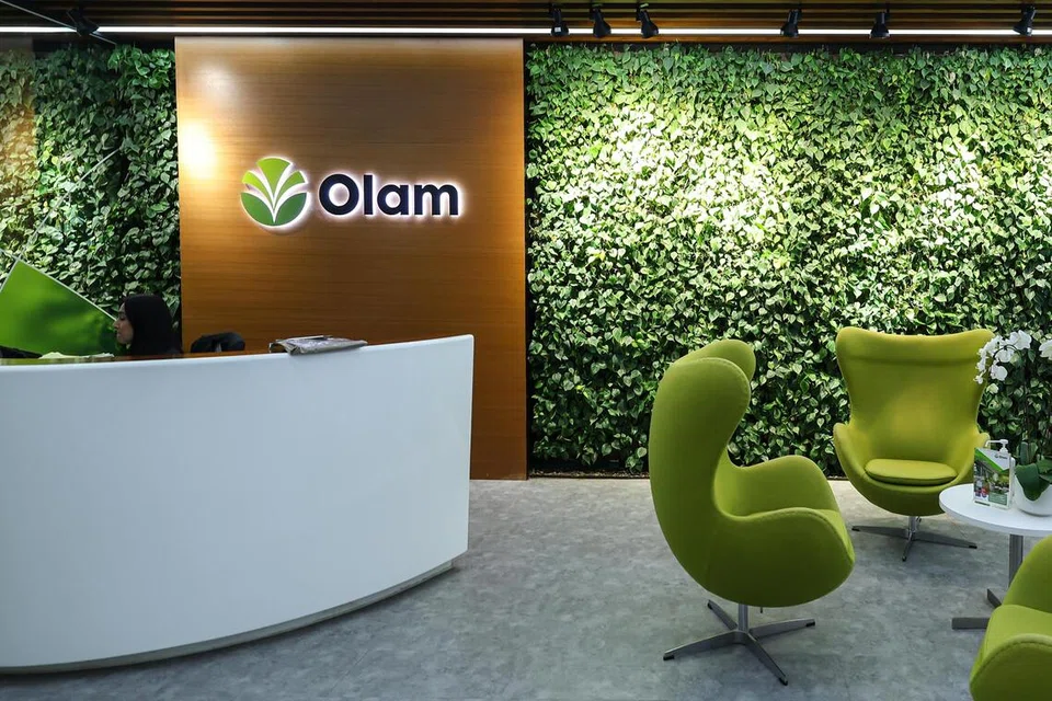 Sem exposição direta aos incêndios na Indonésia, diz o Olam Group