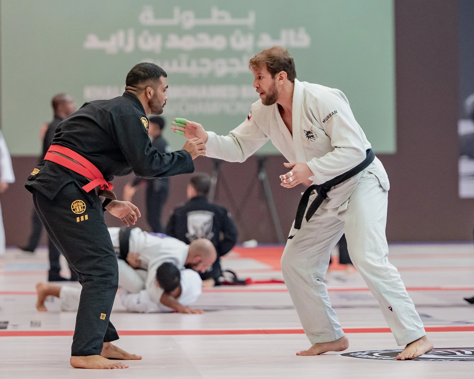 Título da temporada em jogo no Campeonato de Jiu-Jitsu Khaled bin Mohamed bin Zayed, em Abu Dhabi