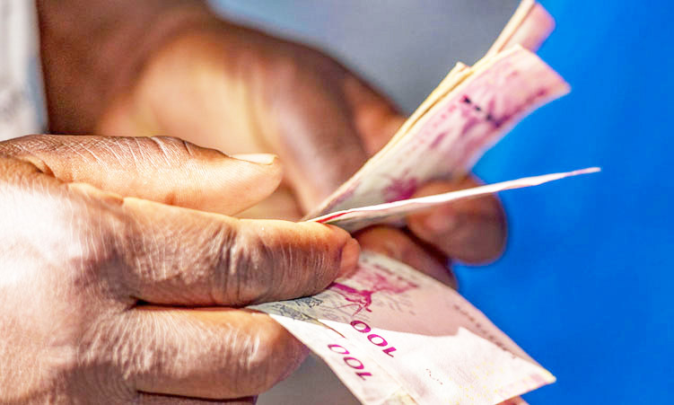 Agribank avalia agricultores afetados pela FMD para concessão de alívio na restituição