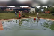 A atuação do CBMGO garantiu a retirada segura dos animais, evitando riscos para os bovinos e para as pessoas envolvidas no resgate.