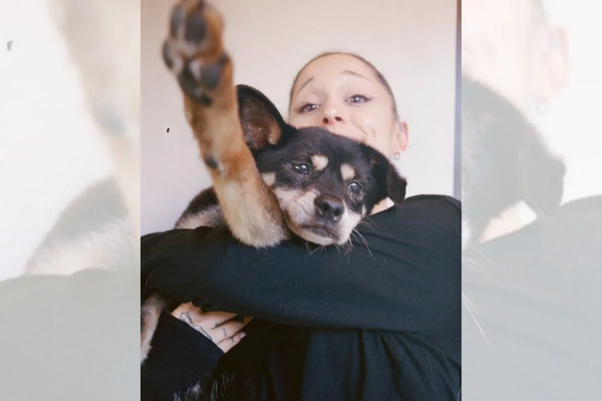 Imagem da matéria: Ariana Grande lamenta morte de pet que marcou sua vida por mais de 17 anos
