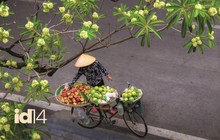 Vụ tài xế xe tải gây tai nạn ở Vĩnh Long: Gia đình nữ sinh kháng cáo toàn bộ bản án