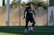 Milan demonstra interresse em Endrick, que vê empréstimo com bons olhos - imagem 5